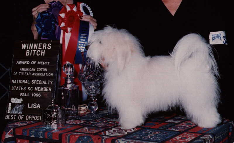 Ginger (Dog's Picture)